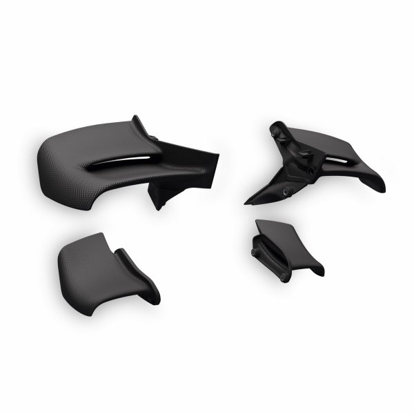 Ducati Winglets aus Kohlefaser /Streetfighter V4 2025/26